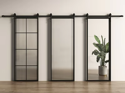 Modern Black Barn Door with Grid Ribbed Mirrored Panels White Wall Wooden Floor Green Plant 3d model