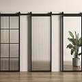 Modern Black Barn Door with Grid Ribbed Mirrored Panels White Wall Wooden Floor Green Plant