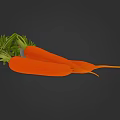 Fresh Carrots With Green Leafy Tops And Bright Orange Color On Dark Background