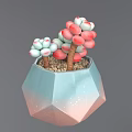 Pink And White Round Succulent Plant In Light Blue Polygonal Pot With Small Pebbles