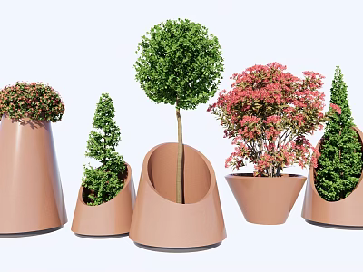 Decorative Bonsai Plants In Various Shaped Ceramic Pots With Green And Pink Foliage 3d model
