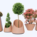 Decorative Bonsai Plants In Various Shaped Ceramic Pots With Green And Pink Foliage