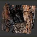 Natural Garden Landscape Featuring Weathered Wood with Bird Nest and Organic Texture