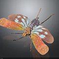 Colorful Insect With Vibrant Transparent Wings And Blue Orange Body Patterns On Dark Background