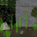 Garden Decorations With Glowing Cacti Green Wall Gray Stone Wall Small Trees And Stones