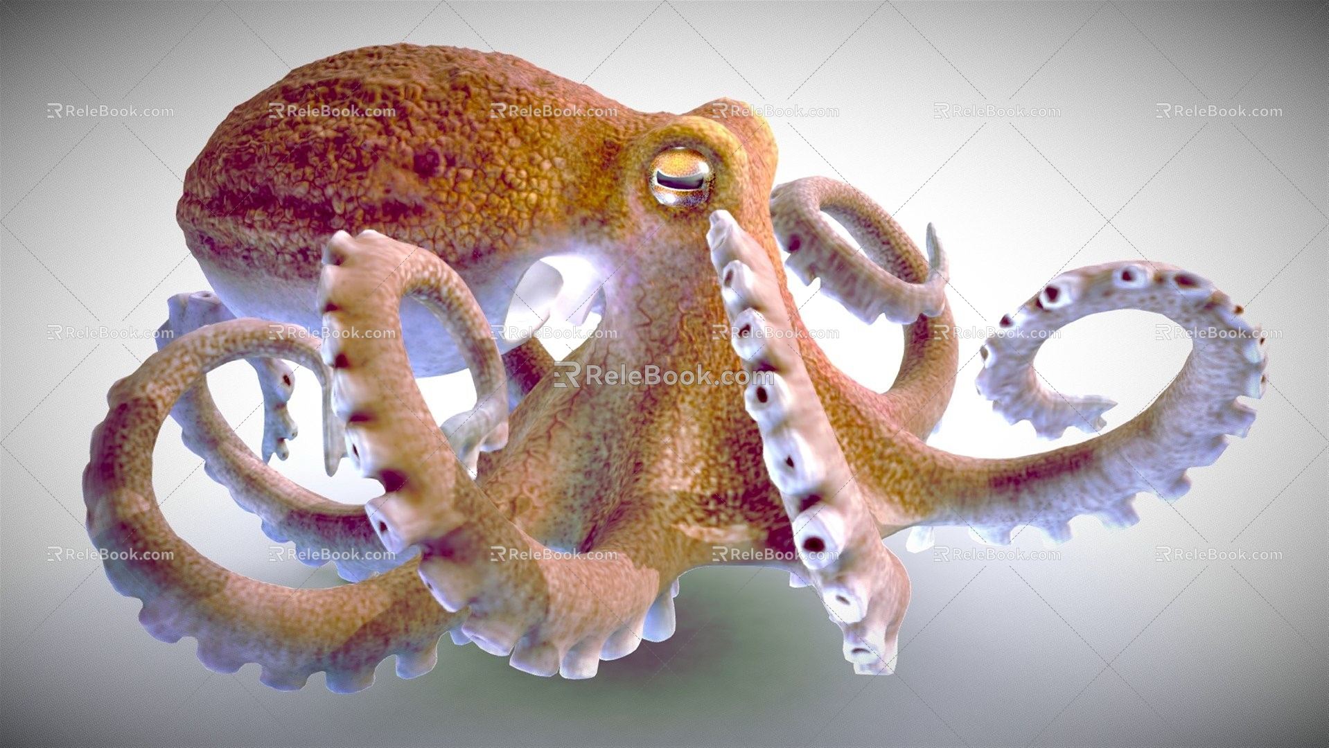 Modern Octopus 3d model