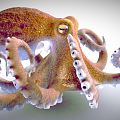 Modern Octopus 3d model