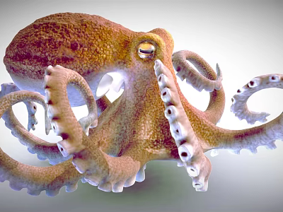 Realistic 3D Rendered Octopus Aquatic Animal with Brown Body Curved Tentacles and White Suckers 3d model