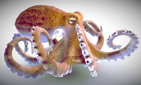 Modern Octopus 3d model