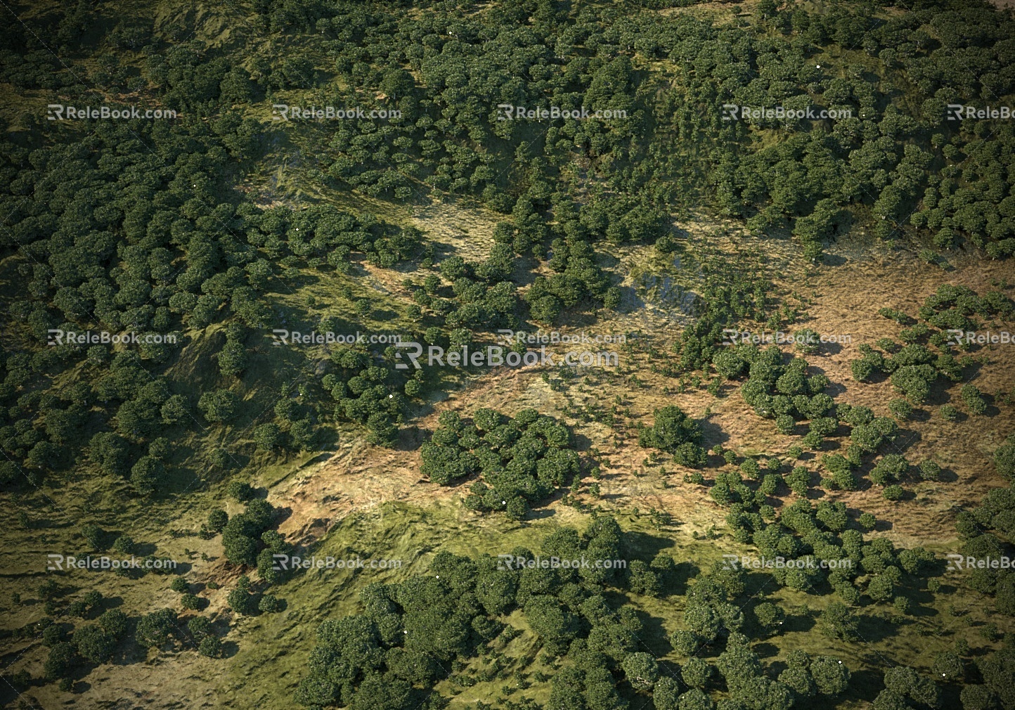 Modern Mountain Modern Tree Forest Bird's Eye View Mountain Mountain Forest Bird's Eye View Aerial View 3d model