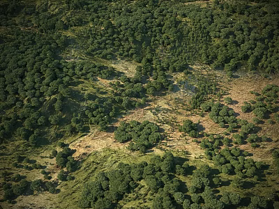 Lush Arbores Thriving On Green Hillside With Dense Foliage And Natural Habitat 3d model