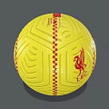 Yellow Red Nike Liverpool FC Football Training Equipment With Logo And Crest Design