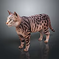 Realistic Spotted Cat Standing Against Gray Background With Reflective Surface