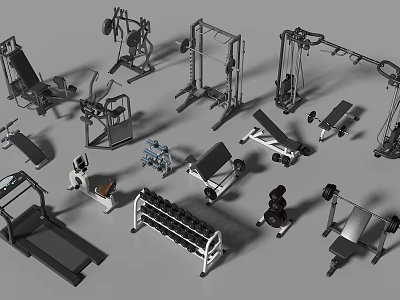 Variety of Fitness Equipment Including Treadmill Dumbbells Bench Press and Rowing Machine 3d model