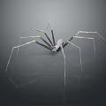 Long Legged Spider With Black White Yellow Body On Shiny Surface With Reflection 3d model
