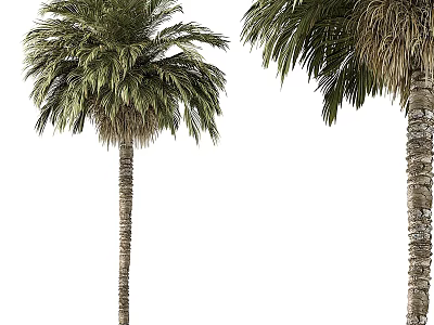 Outdoor Tree Planter Design With Tall Palm Trees And Green Foliage 3d model