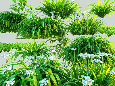 Lush Green Grass And White Flowers With Various Herb Plants In Garden 3d model