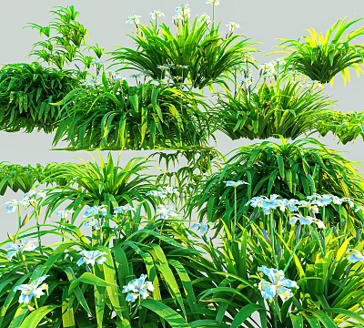 Lush Green Grass And White Flowers With Various Herb Plants In Garden 3d model
