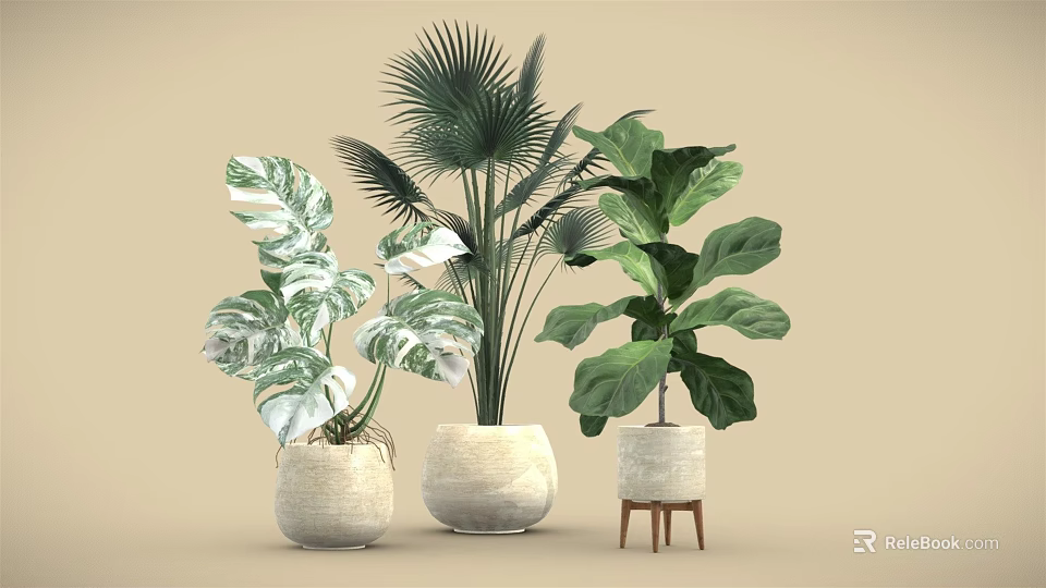 Indoor Potted Plants with Various Leaf Shapes and Decorative Planters for Home Interior 3d model 