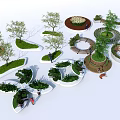 Diverse Tree Planters With Creative Shapes Lush Plants And Seating Areas 3d model