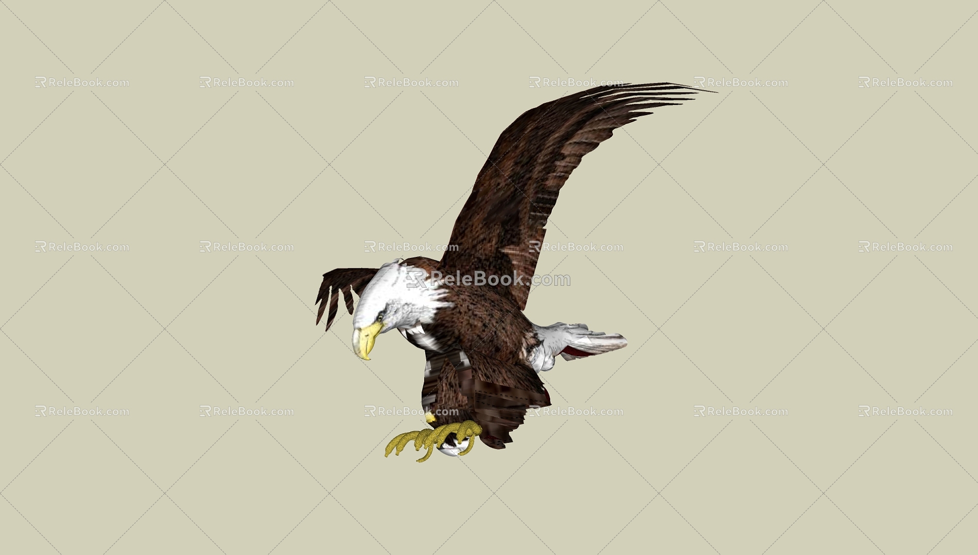 Eagle 3d model