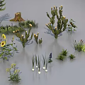 Diverse Plant Combinations With Various Trees Small Plants Arranged Neatly In Different Shapes Sizes