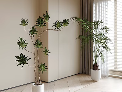 bonsai plant green plant ornaments 3d model