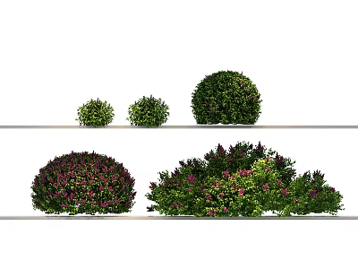Various Sizes And Shapes Of Decorative Bushes With Green Foliage And Purple Flowers 3d model