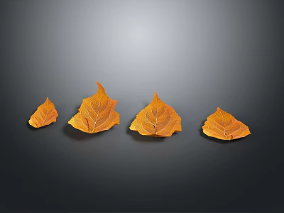 Four Yellow Autumn Leaves Displayed On Gray Background With Natural Texture 3d model
