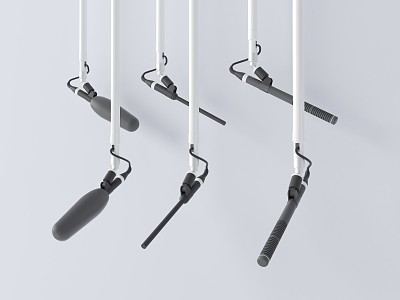 Modern microphone hanging wheat model