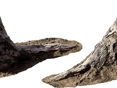 Natural Stone And Wood With Soil And Rough Tree Root Texture 3d model