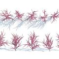 Purple Decorative Plants With Slender Leaves Arranged In Rows And Natural Shadows