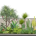 Diverse Tropical Plants Cactus And Ferns In Outdoor Garden Landscape With Greenery