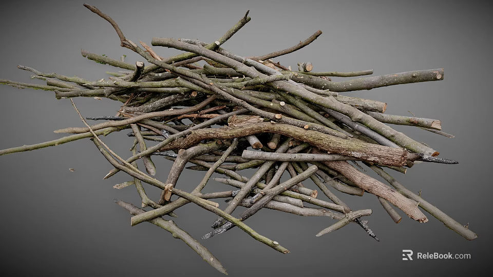Collection of Various Natural Dry Twigs and Branches on Gray Background 3d model 