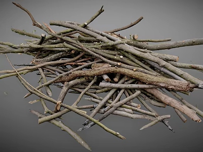 Collection of Various Natural Dry Twigs and Branches on Gray Background 3d model