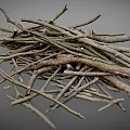 Collection of Various Natural Dry Twigs and Branches on Gray Background