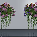 Hanging Potted Plants With Colorful Purple Pink Orange Flowers And Trailing Green Vines