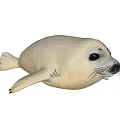 Two White Plush Seal Stuffed Toys in Lying and Resting Positions 3d model