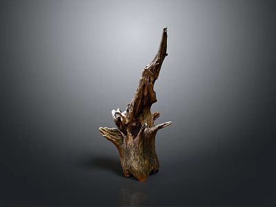 Rustic Wooden Stump Sculpture With Natural Texture On Gray Gradient Background 3d model