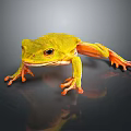 Vibrant Yellow Frog with Orange Feet on Glossy Black Surface and Reflective Shadow