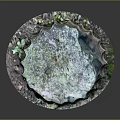 Scenic Landscape Featuring Natural Tree Stump With Green Brown Hues And Texture