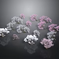 Multiple Pink and White Trees Arranged on Dark Background With Reflective Surfaces
