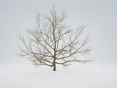 Bare Leafless Tree Standing Solitary In Snowy Field Under Gray Sky 3d model