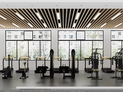 Modern Gym Interior With Various Fitness Equipment And Large Windows 3d model