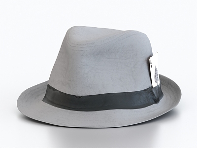 Hat Casual Hat Topper Tyrol Hat Felt Hat Bucket Hat Basin Hat Fisherman Hat Baseball Hat 3d model