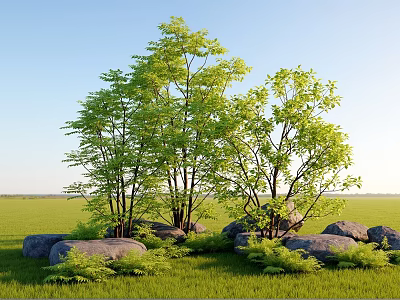Lush Plant Combination Featuring Green Trees Ferns Stones And Grassland Under Blue Sky 3d model