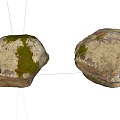 Natural Weathered Stones With Mossy Surfaces For Rustic Decor Projects