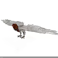 Eagle 3D Model With Red Head Spread Wings And Claws On White Background 3d model
