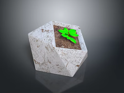 Small Green Plant In Hexagonal White Marble Textured Planter With Soil 3d model
