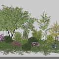 Diverse Ornamental Trees In Garden Landscape Featuring Green Yellow Foliage And Pink White Flowers